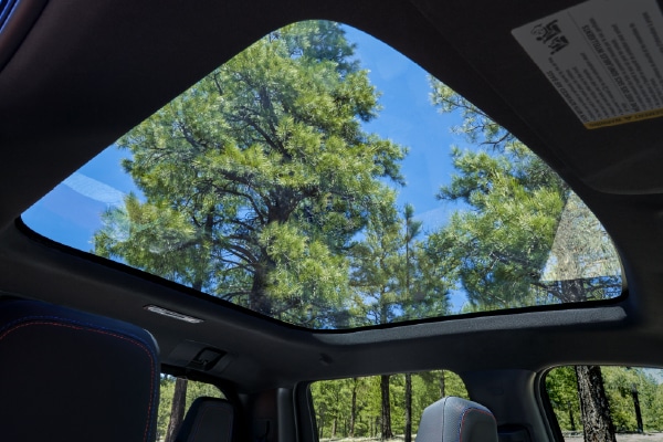 PANORAMIC FIXED-GLASS ROOF†